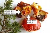 用“戴奥辛”造句