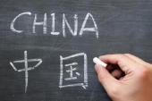 用“对外汉语”造句
