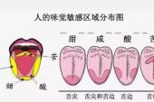 用“感受性”造句