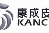 用“康成”造句