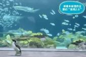 用“呼朋”造句