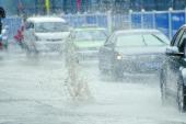 用“大暴雨”造句