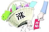 用“物价补贴”造句