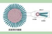 用“表面活性”造句