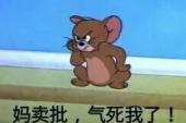用“气死我了”造句
