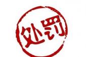 用“罚没”造句