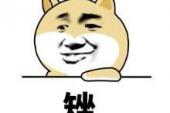 用“傻的”造句