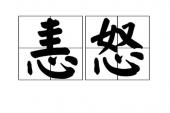 用“恚怒”造句