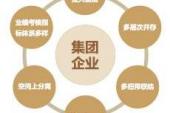 用“集团化”造句