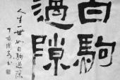 用“过隙白驹”造句