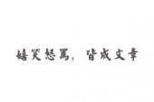 用“嬉笑怒骂,皆成文章”造句