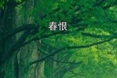 用“春恨”造句