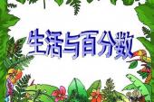 用“百分数”造句