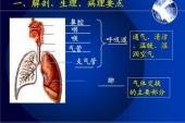 用“呼吸系统”造句