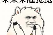 用“睡着觉”造句