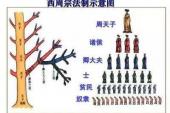 用“卿大夫”造句