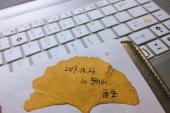 用“棕叶”造句