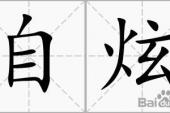 用“自炫”造句