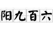 用“阳九百六”造句