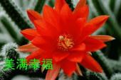 用“福份”造句