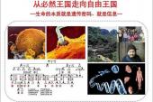 用“必然王国”造句
