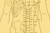 用“腧穴”造句