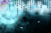 用“纳兰”造句