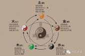 用“没心没肝”造句
