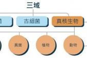 用“六条”造句