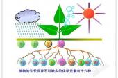 用“化学肥料”造句