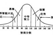 用“第三条”造句