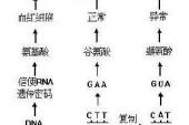 用“贫血症”造句