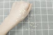 用“雪压霜欺”造句