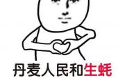用“小英雄”造句