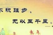 用“本职工作”造句