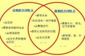 用“相同点”造句
