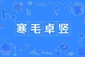 用“寒毛卓竖”造句
