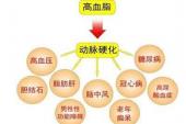 用“高血脂”造句