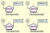 用“脱氧核糖核酸”造句