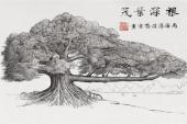 用“根深”造句