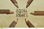 用“平等权利”造句