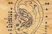 用“耳郭”造句