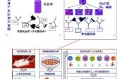 用“多抗”造句