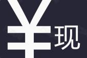 用“现金支付”造句