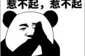 用“太好”造句