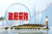 用“政府采购”造句