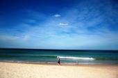 用“飘海”造句