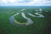 用“亚马逊河”造句