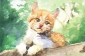 用“水彩画”造句