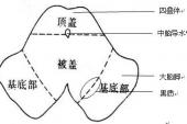 用“被盖”造句